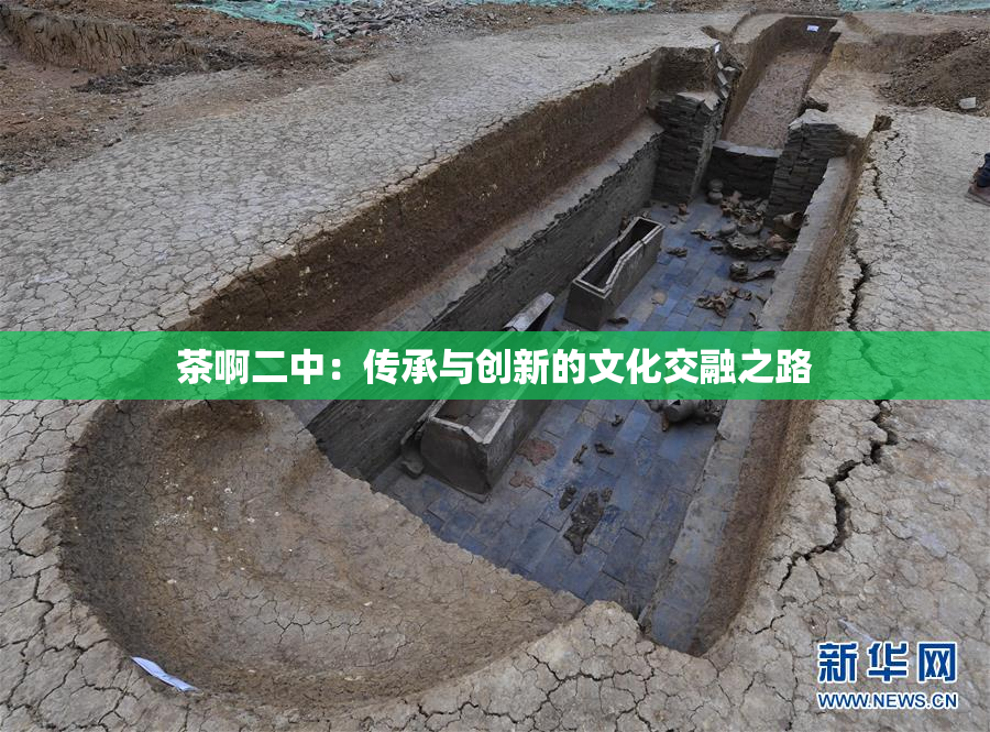 茶啊二中：传承与创新的文化交融之路
