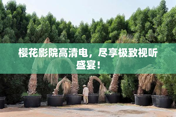 樱花影院高清电，尽享极致视听盛宴！