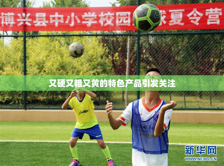 又硬又粗又黄的特色产品引发关注