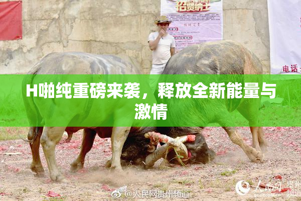 H啪纯重磅来袭，释放全新能量与激情