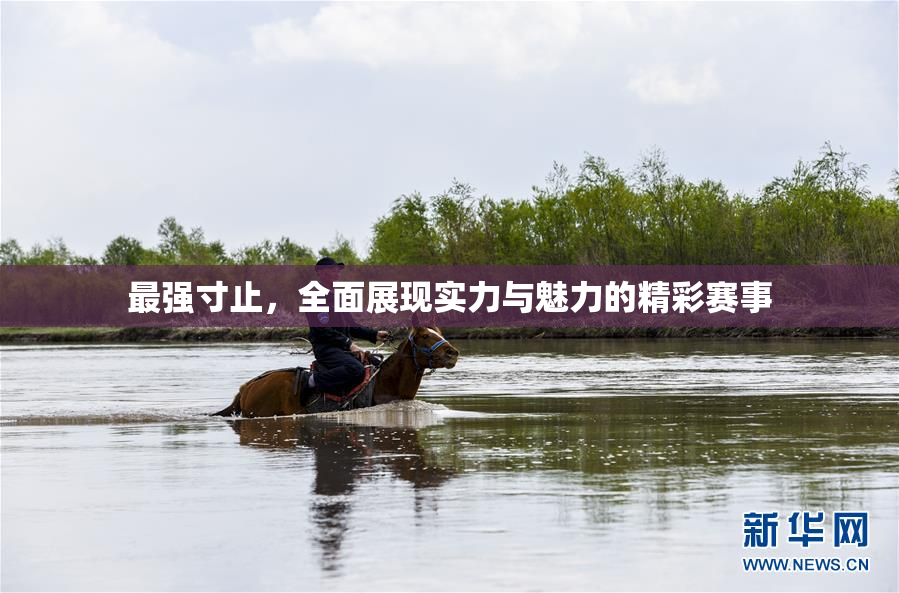 最强寸止，全面展现实力与魅力的精彩赛事