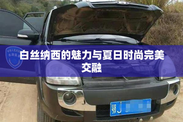 白丝纳西的魅力与夏日时尚完美交融
