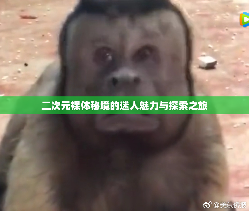 二次元裸体秘境的迷人魅力与探索之旅