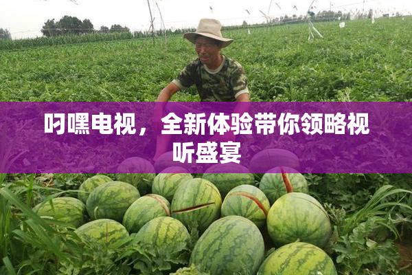 叼嘿电视，全新体验带你领略视听盛宴