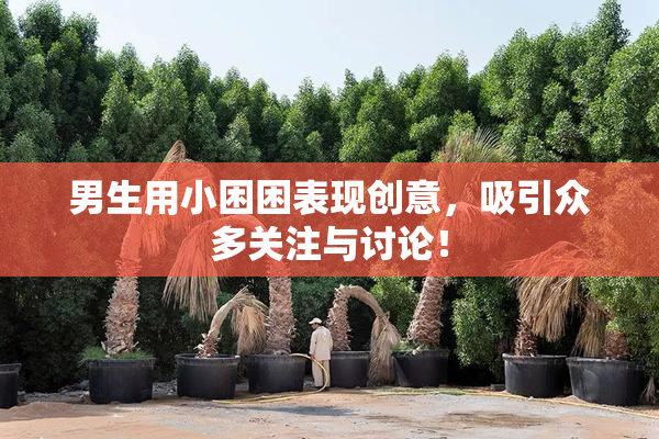 男生用小困困表现创意，吸引众多关注与讨论！