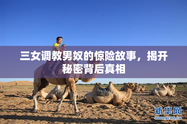 三女调教男奴的惊险故事，揭开秘密背后真相