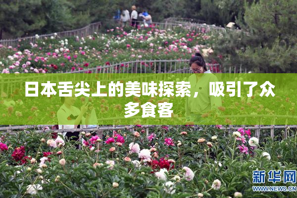 日本舌尖上的美味探索，吸引了众多食客