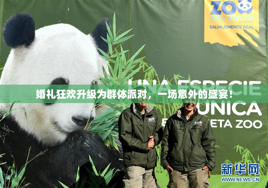 婚礼狂欢升级为群体派对，一场意外的盛宴！