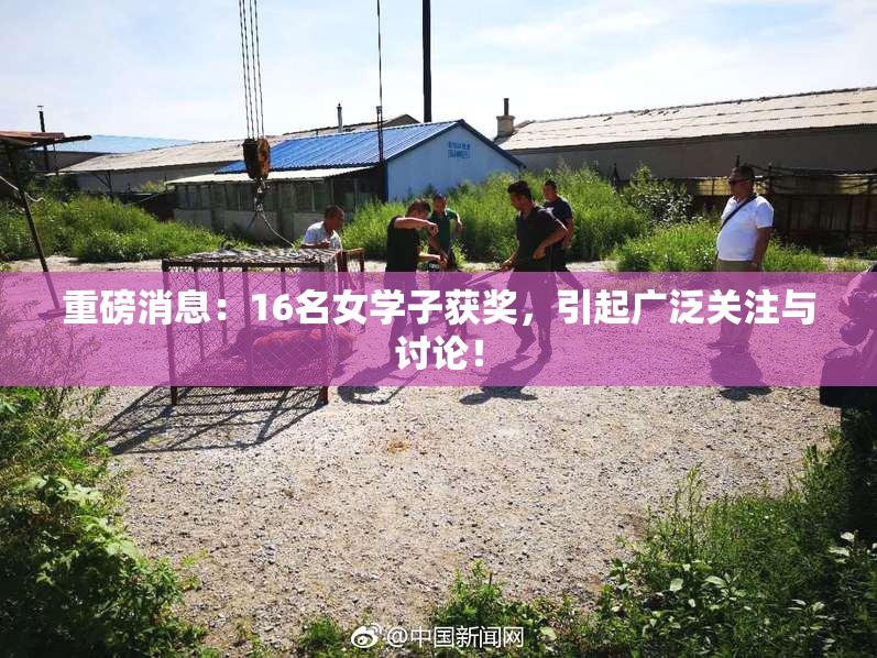 重磅消息：16名女学子获奖，引起广泛关注与讨论！