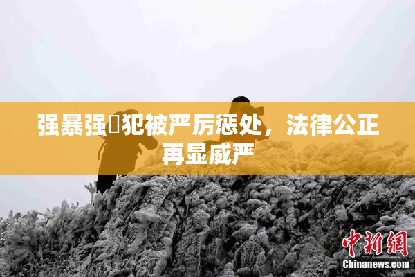 强暴强姦犯被严厉惩处，法律公正再显威严