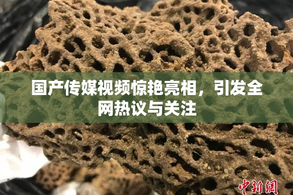 国产传媒视频惊艳亮相，引发全网热议与关注