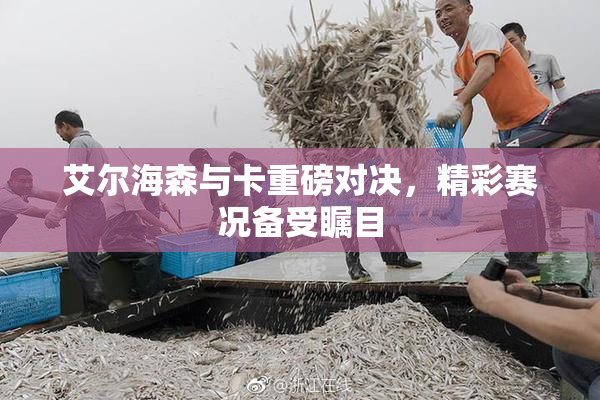 艾尔海森与卡重磅对决，精彩赛况备受瞩目