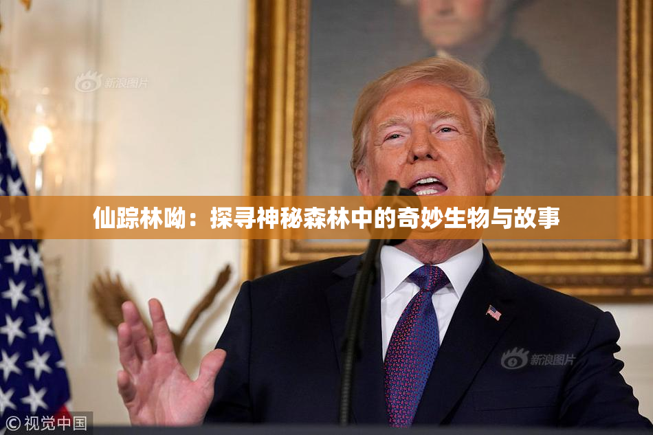 仙踪林呦：探寻神秘森林中的奇妙生物与故事