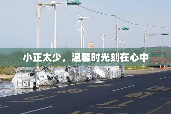 小正太少，温馨时光刻在心中