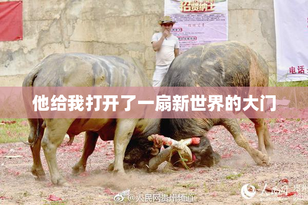 他给我打开了一扇新世界的大门
