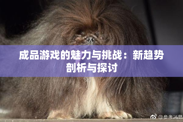 成品游戏的魅力与挑战：新趋势剖析与探讨
