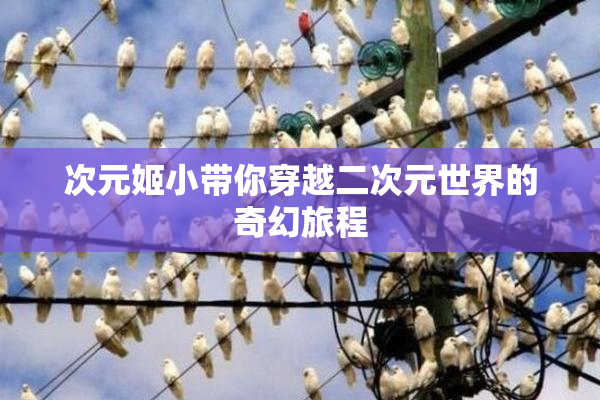 次元姬小带你穿越二次元世界的奇幻旅程