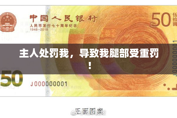 主人处罚我，导致我腿部受重罚！