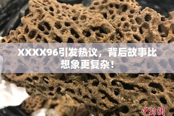XXXX96引发热议，背后故事比想象更复杂！