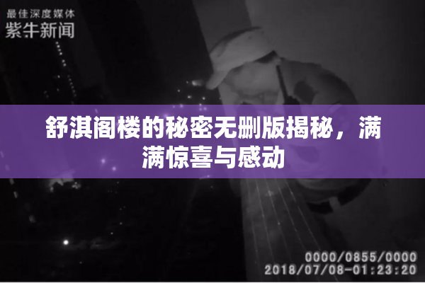 舒淇阁楼的秘密无删版揭秘，满满惊喜与感动