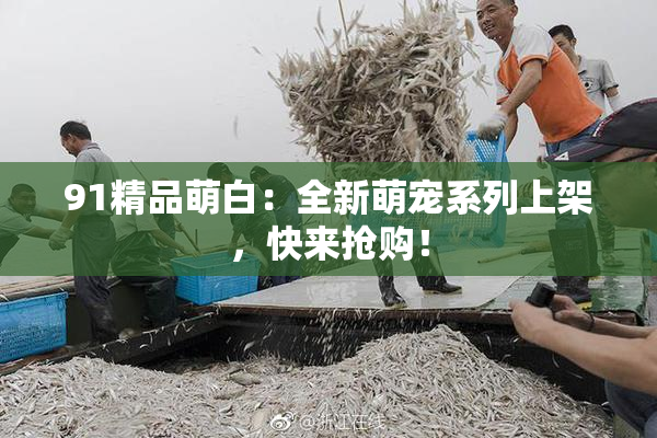 91精品萌白：全新萌宠系列上架，快来抢购！
