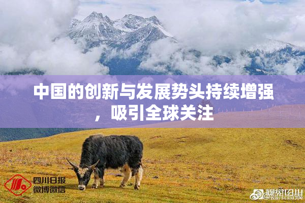 中国的创新与发展势头持续增强，吸引全球关注