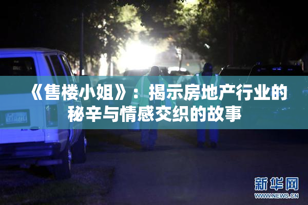 《售楼小姐》：揭示房地产行业的秘辛与情感交织的故事
