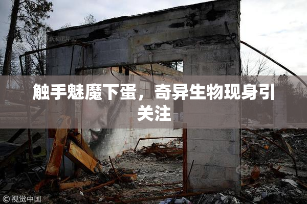 触手魅魔下蛋，奇异生物现身引关注
