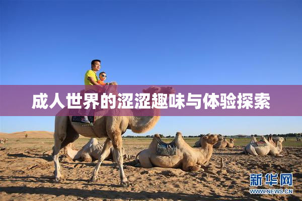 成人世界的涩涩趣味与体验探索