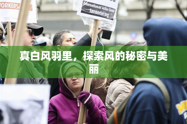 真白风羽里，探索风的秘密与美丽