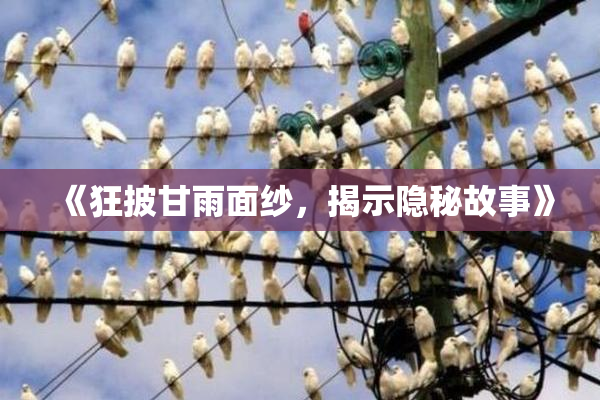 《狂披甘雨面纱，揭示隐秘故事》
