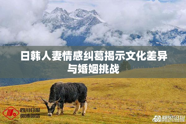日韩人妻情感纠葛揭示文化差异与婚姻挑战