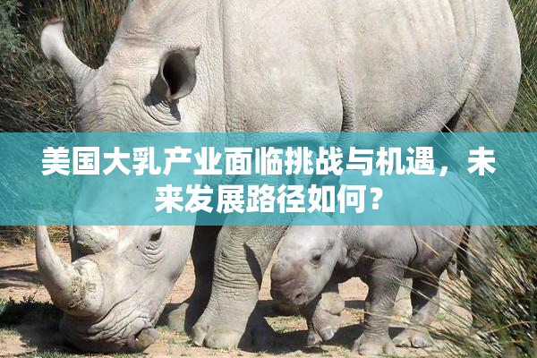 美国大乳产业面临挑战与机遇，未来发展路径如何？