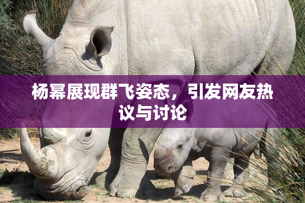 杨幂展现群飞姿态，引发网友热议与讨论