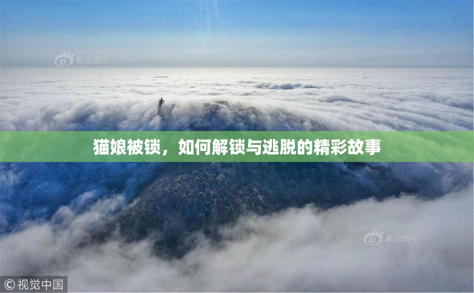 猫娘被锁，如何解锁与逃脱的精彩故事