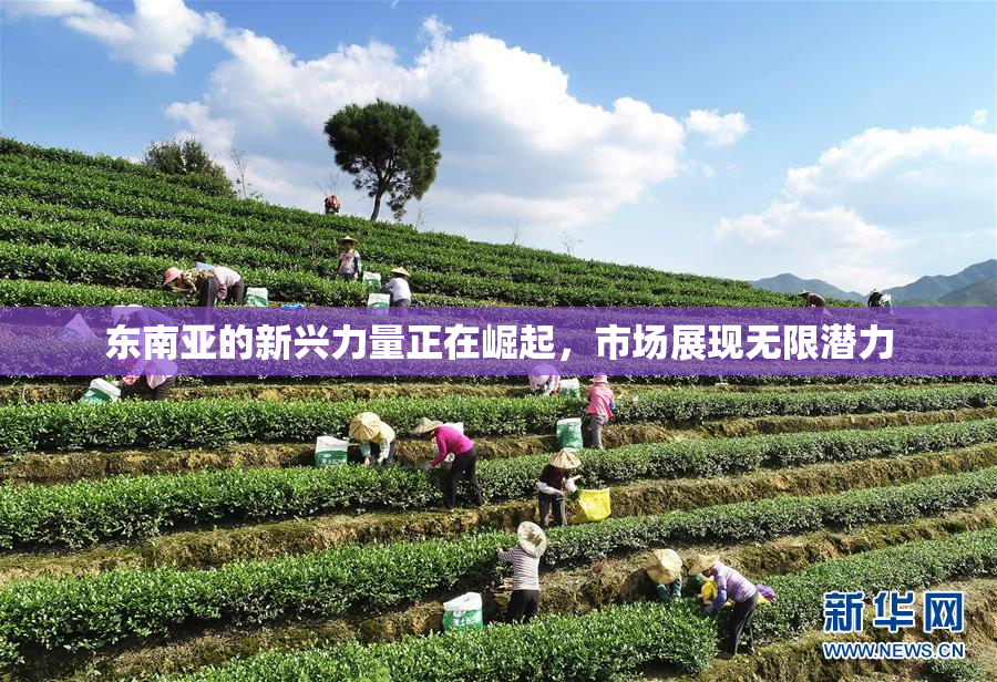 东南亚的新兴力量正在崛起，市场展现无限潜力
