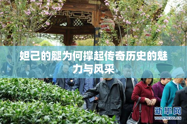 妲己的腿为何撑起传奇历史的魅力与风采