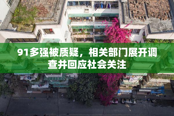 91多强被质疑，相关部门展开调查并回应社会关注