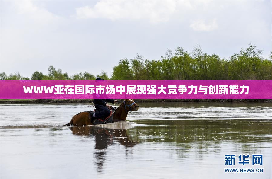 WWW亚在国际市场中展现强大竞争力与创新能力