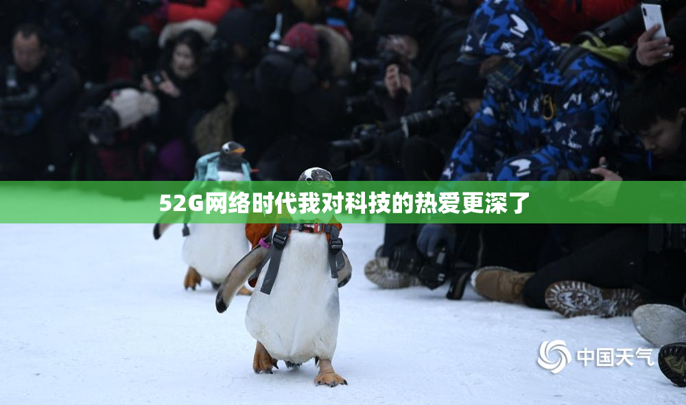 52G网络时代我对科技的热爱更深了