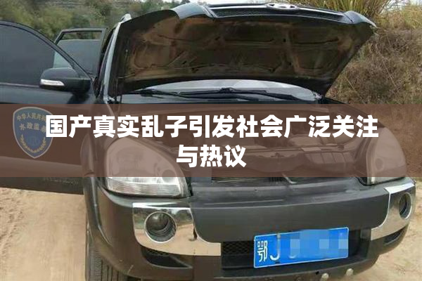 国产真实乱子引发社会广泛关注与热议