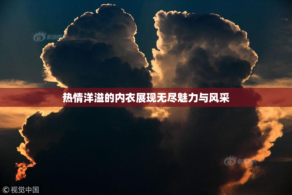 热情洋溢的内衣展现无尽魅力与风采