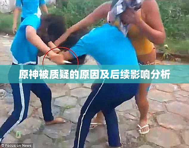原神被质疑的原因及后续影响分析