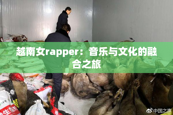 越南女rapper：音乐与文化的融合之旅