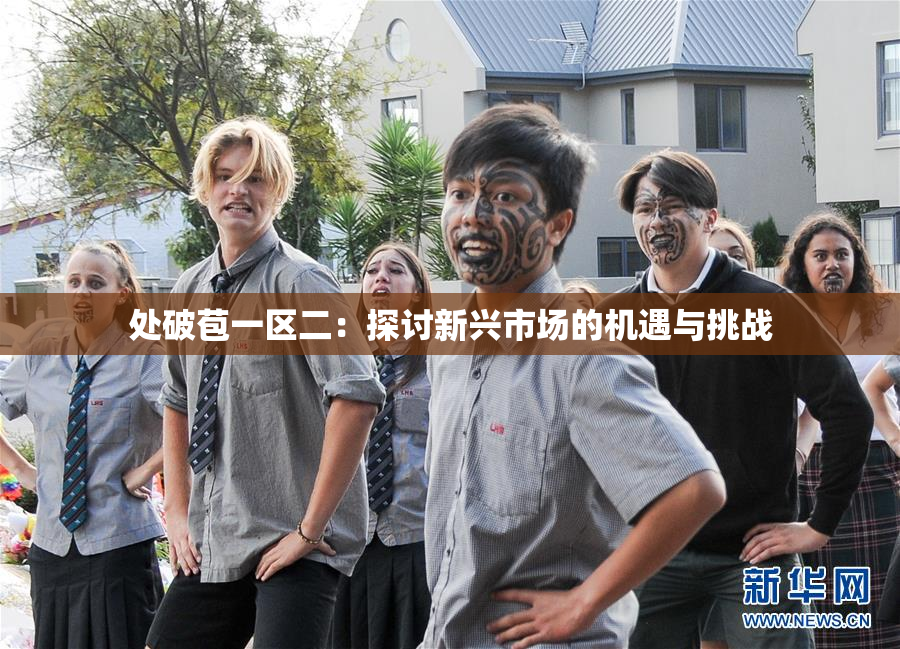 处破苞一区二：探讨新兴市场的机遇与挑战