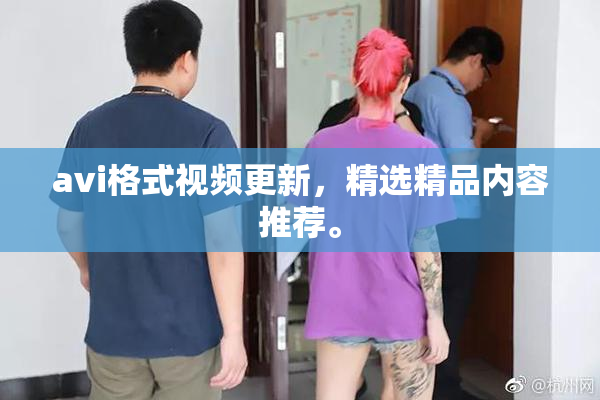avi格式视频更新，精选精品内容推荐。