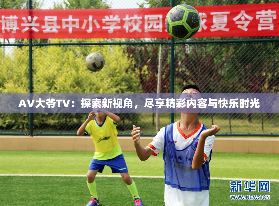 AV大爷TV：探索新视角，尽享精彩内容与快乐时光