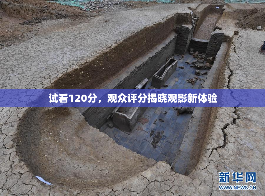 试看120分，观众评分揭晓观影新体验