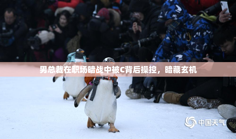 男总裁在职场暗战中被C背后操控，暗藏玄机