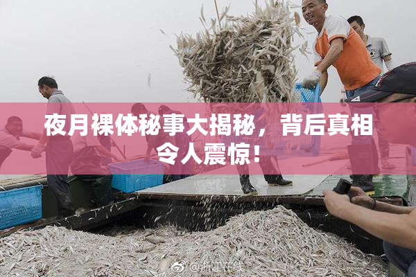 夜月裸体秘事大揭秘，背后真相令人震惊！